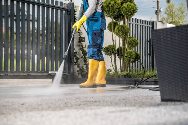 Best Vinyl Siding Pressure Washing in Iowa Park, TX